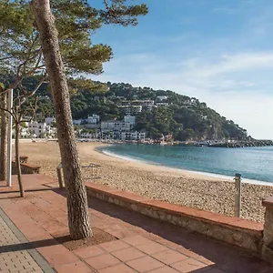 Mar , Llafranc Spain